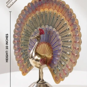 Dancing Peacock